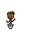 groot