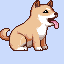 a dog