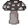 deadly mushroom 1