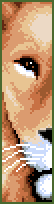 female lion
