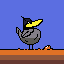 duck