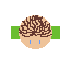 code character