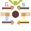 quidditch