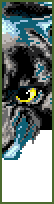 panther
