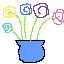 the roses