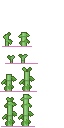 bamboo