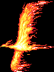 fenix