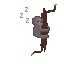 sloth