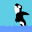 orca