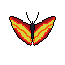 borboleta