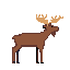 moose jockey with antlers