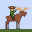 moose with modified hump
