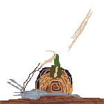 snail rider