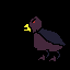 crazy bird animation