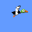 bird