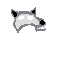 wolf helm