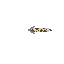rusty sword