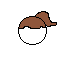 hair 1