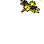 zapdos