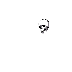 human skull