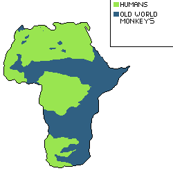 map2
