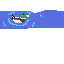 duck in pond