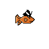 gold fishy