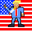 trumpflag