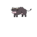 bumbae