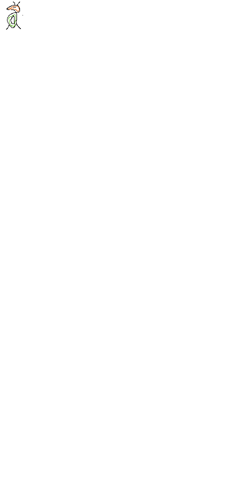 bug1