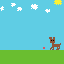 dog playing w ball