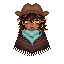 poncho1
