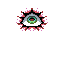 eye