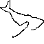 walvis rechts 1 0
