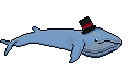 walvis rechts 1 2