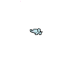 elefant 1