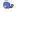 whale