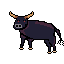 bull