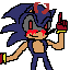 evel sonic