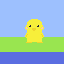 pato 1
