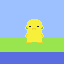 pato 5