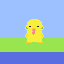 pato 8
