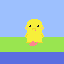 pato 17