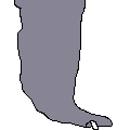 gato 1