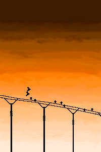 dos pajaros volando