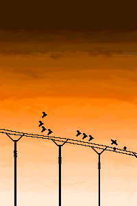 ocho pajaros volando