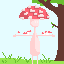 fungus