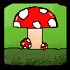 bolet