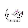gato 1