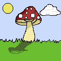 boletus